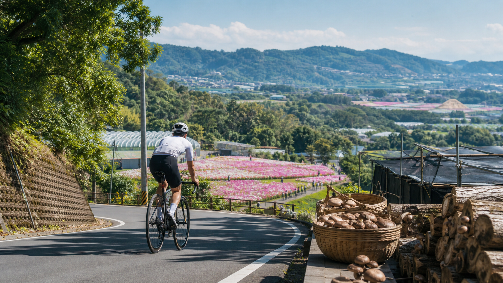 从大坑骑向新社：香菇、花海与台中山城的一日慢骑手札